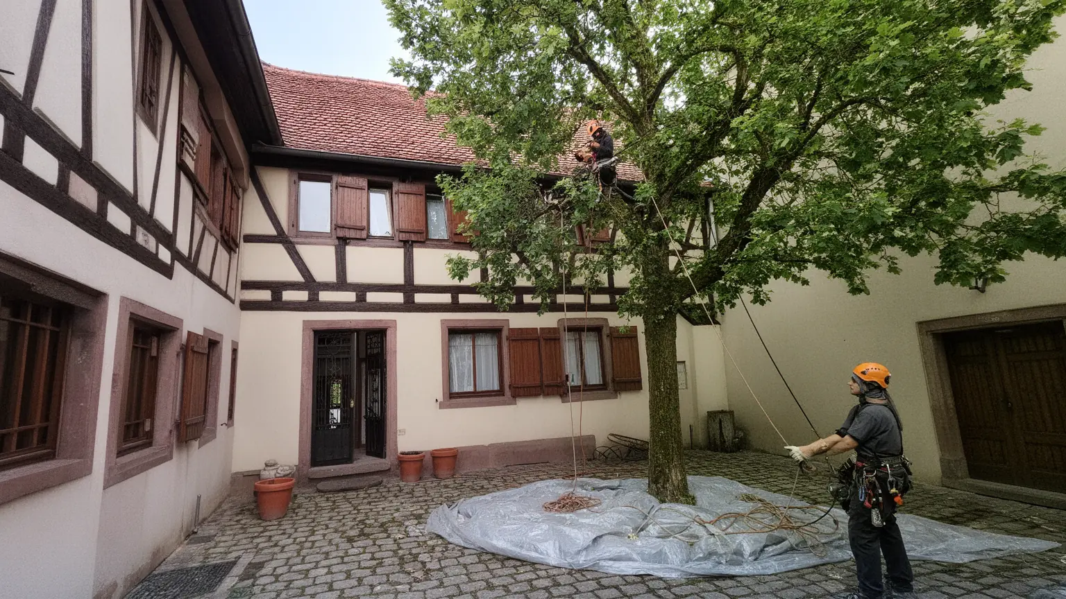 Élagueur professionnel à Eguisheim et alentours